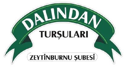 Dalından Turşuları logosu